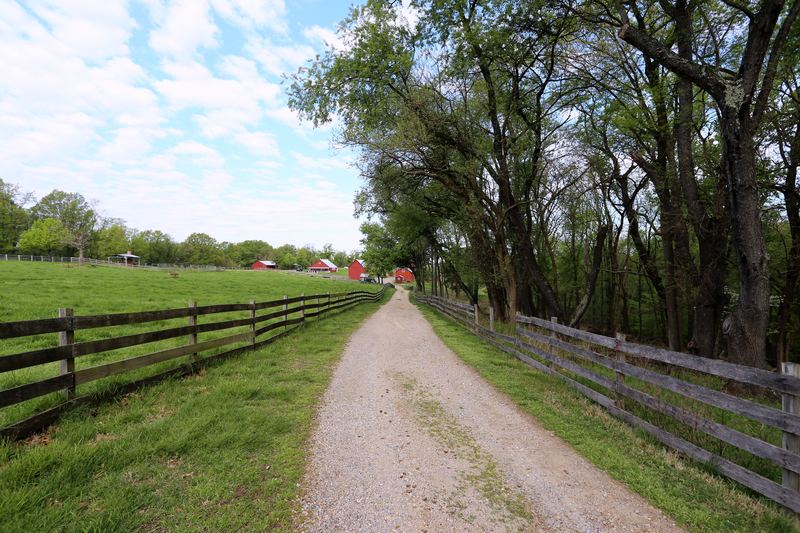 Gravel lane past a wooden fence toward distant red farm buildings.