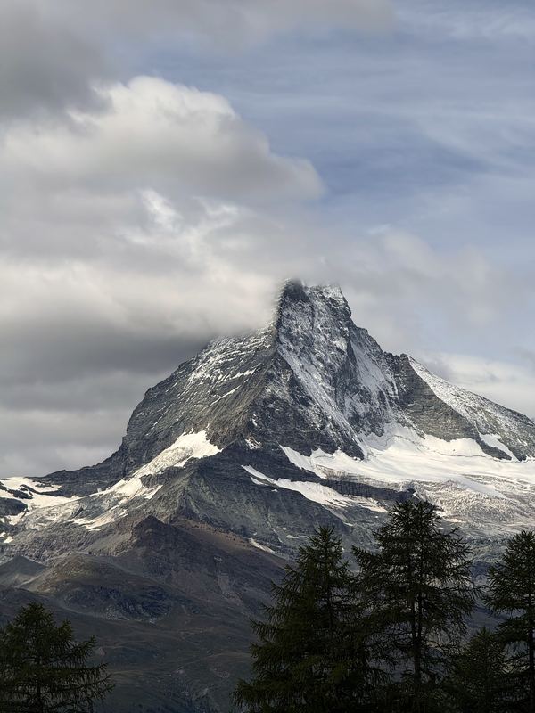 Snowy Matterhorn rising above dark fir tops and grey cloud.