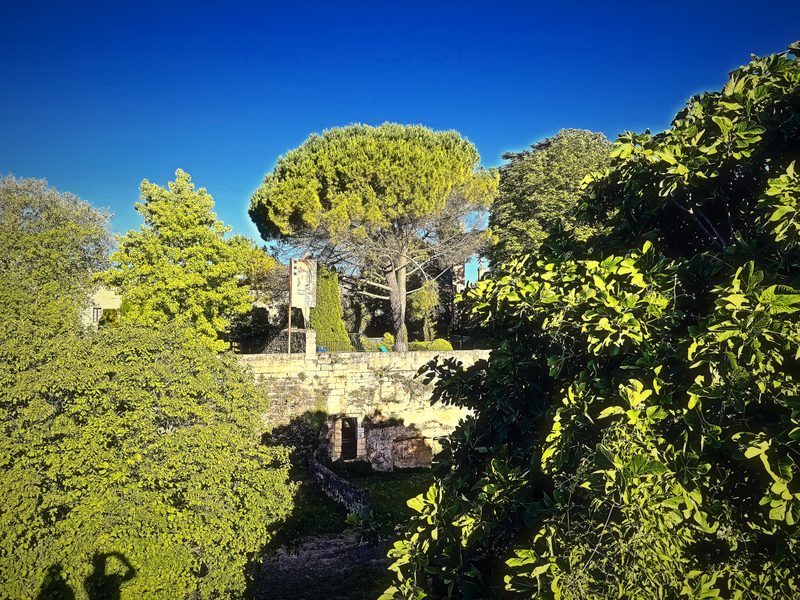 Round umbrella pines and dense green trees around old stone walls under a clear blue sky.
