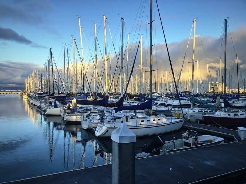 Rows of sailboat masts in a marina at dusk, reflected in still water.