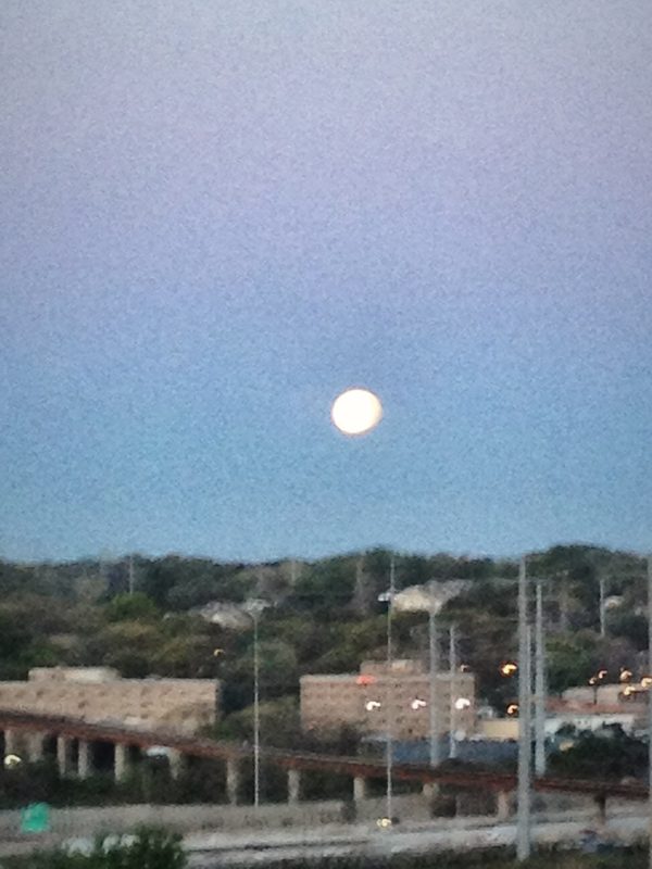A full moon setting in a pale blue dawn sky over low rooftops and trees.