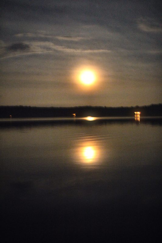 A full moon low over a dark lake, its golden reflection doubled in the flat water below a thin line of shore.