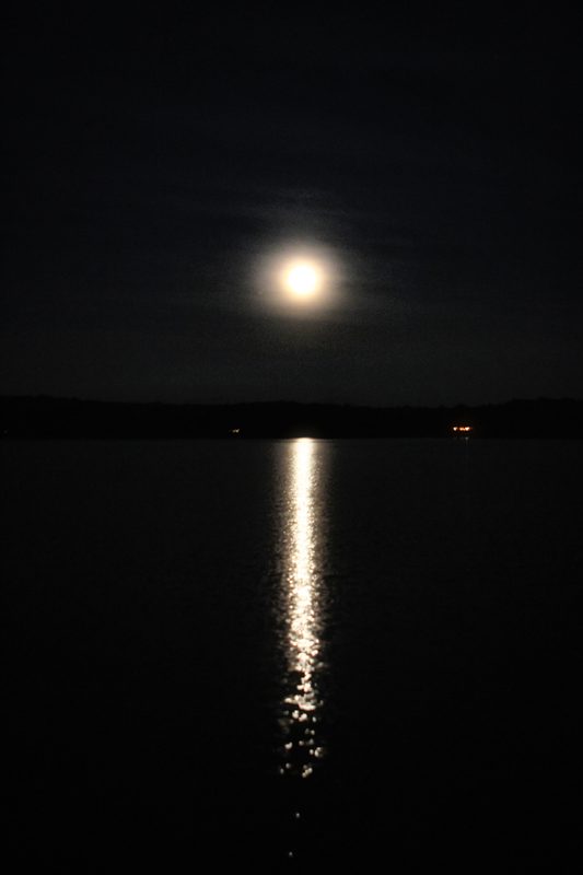 A full moon low over dark water, its reflection running in a long bright path toward the camera.