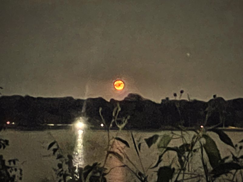An orange moon rising over a dark treeline across a lake, a shore light painting a bright streak on the water.