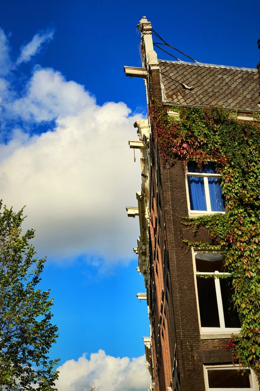 Looking up at an ivy-covered brick gable against blue sky and bright cloud.