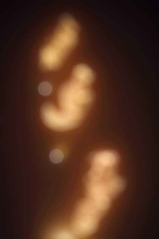 Curving trails of gold light blurred into soft circles on black.