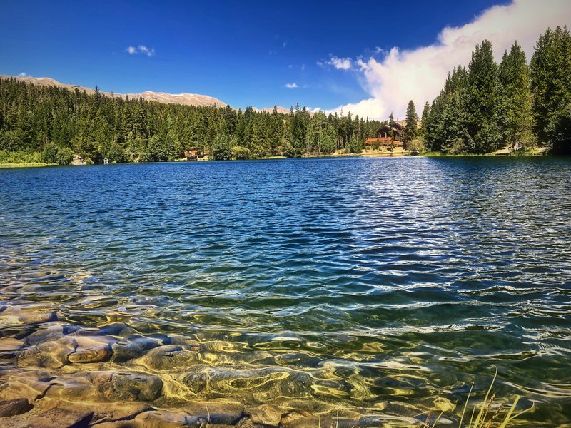 Clear alpine water over pebbles, with a wooded shore and blue sky behind.