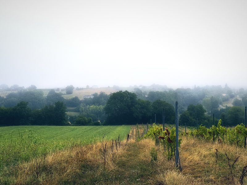 Fog lying over a green valley and hedgerows, with the far hills dissolving into white.