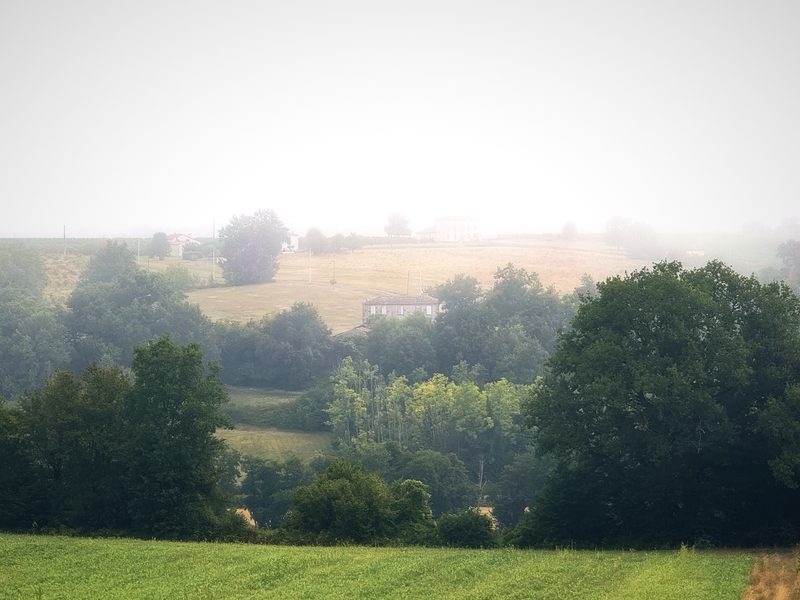 Soft morning fog filling a wooded hollow beyond a green field.