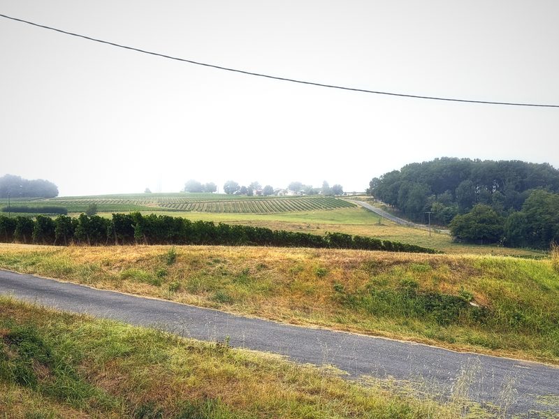 A country lane running past a hedge and fields under a pale, misty sky and a single wire.