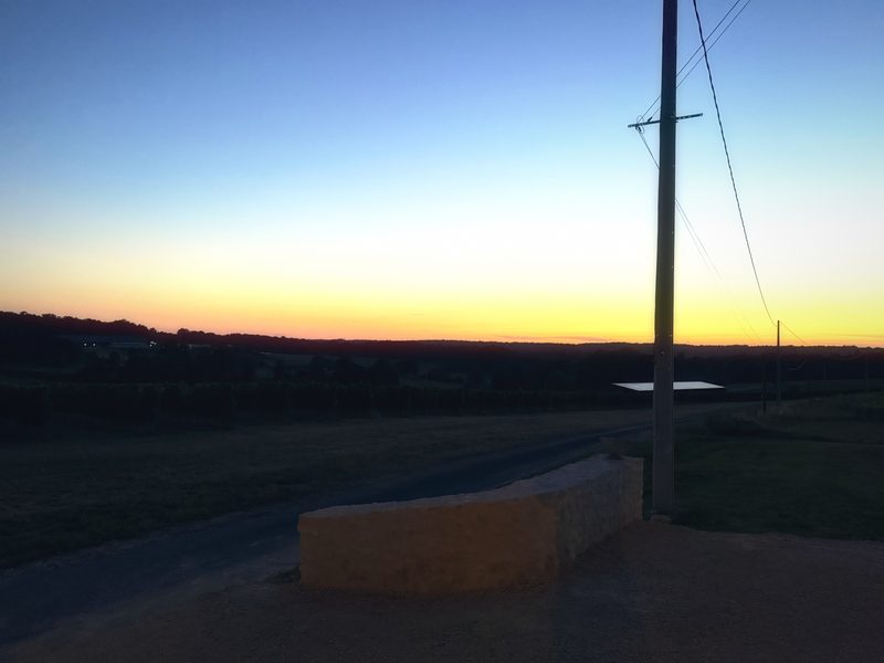 A wooden utility pole and dark hedgerow silhouetted against a gradient from orange to deep blue.