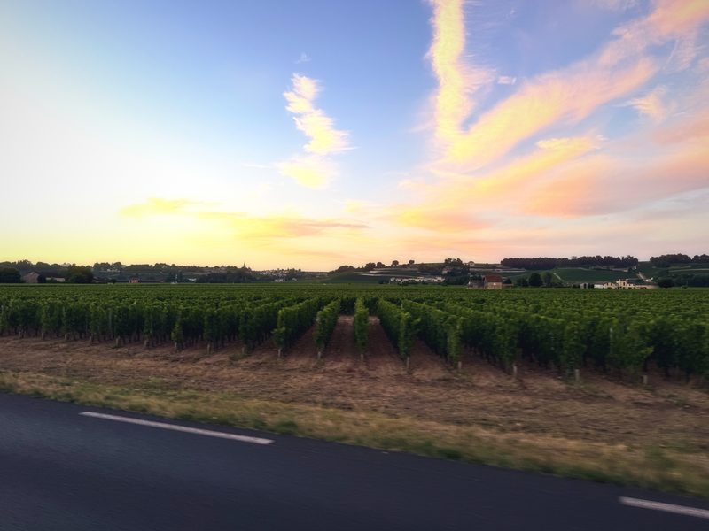 Pink and gold clouds streaking across a pale dusk sky above a long line of fields and a country road.