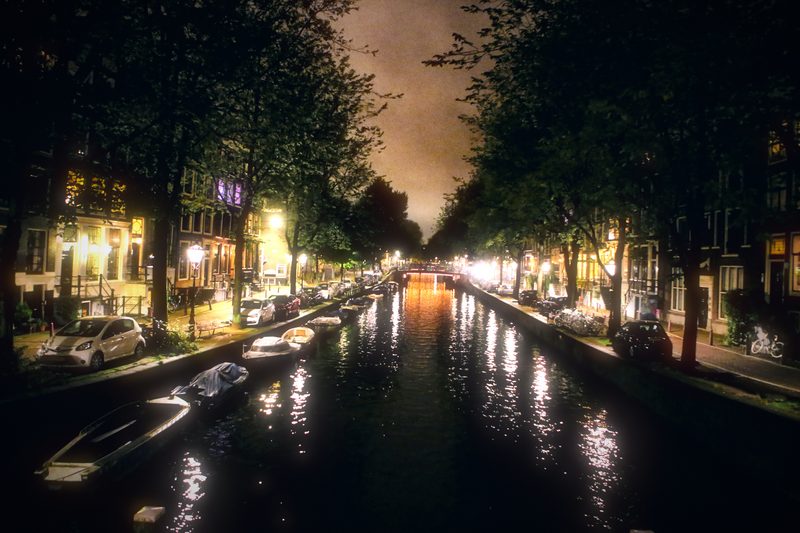 Trees and lights along a canal at night, reflections stretching toward the viewer.