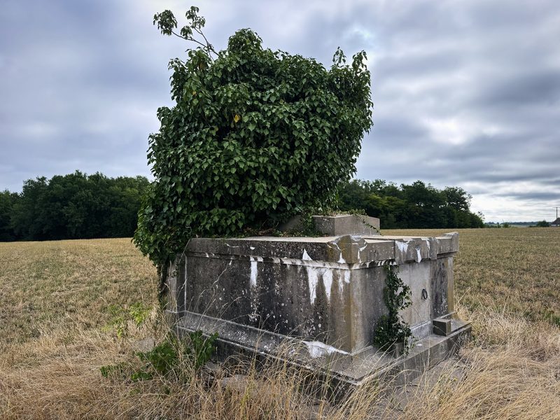 A weathered stone structure with a tree growing from it in the middle of a stubble field under grey cloud.