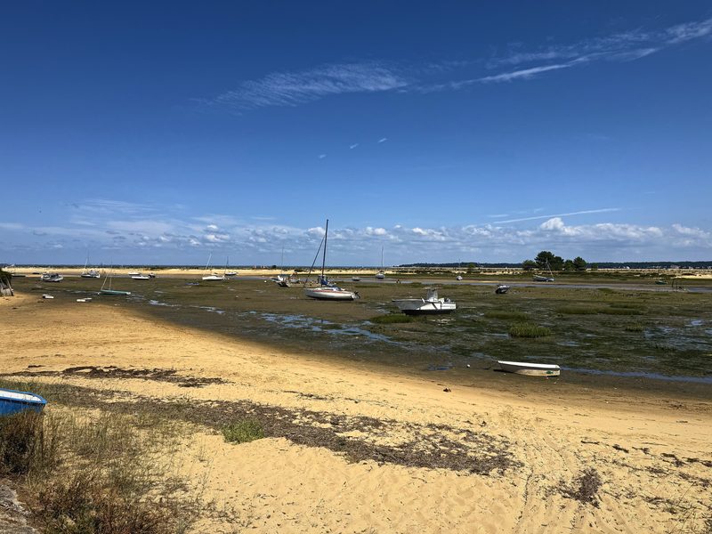 Sailboats and small boats resting on the sand and green tidal flats of a wide bay under a deep blue sky.