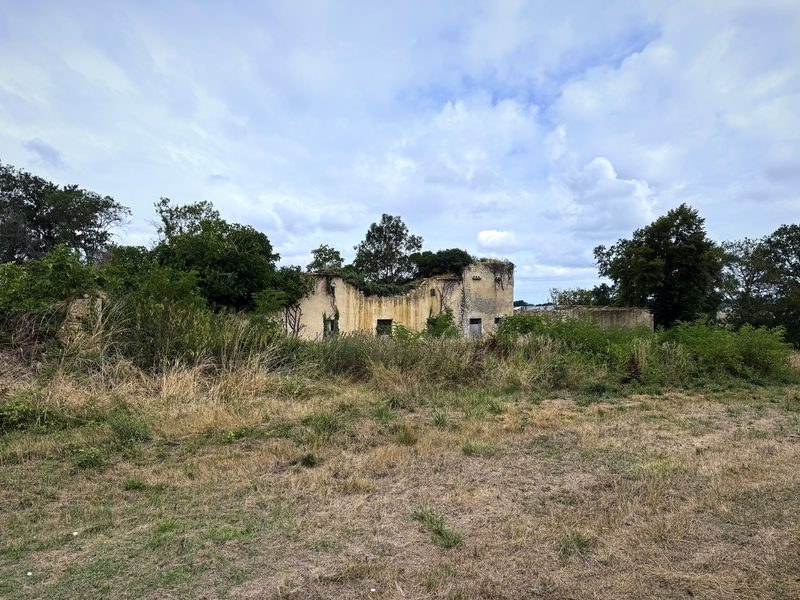 A low old farmhouse half-hidden behind tall summer grass and trees under a cloudy sky.