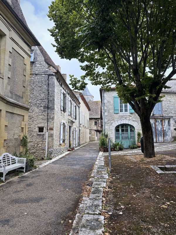 A narrow lane of stone houses beside a big plane tree and a low stone kerb.