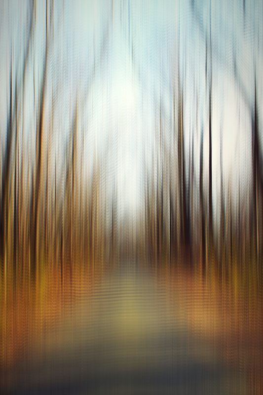 Vertical streaks of brown trunks and gold leaves over a pale path.