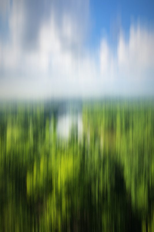 Vertical streaks of bright green foliage and blue sky.