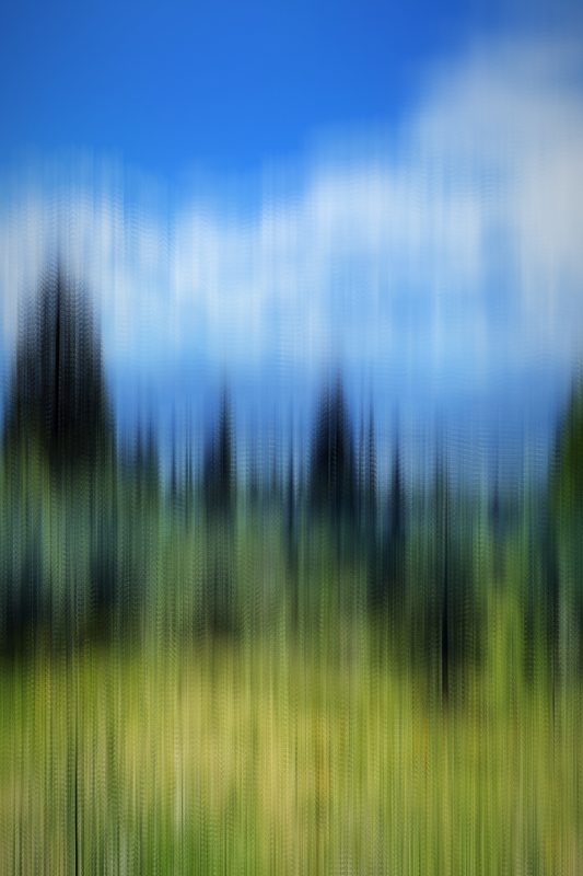 Vertical streaks of dark pines, blue sky and green meadow.