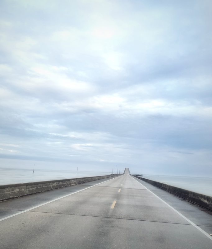 A long, empty highway bridge running straight toward the horizon under a pale cloudy sky.