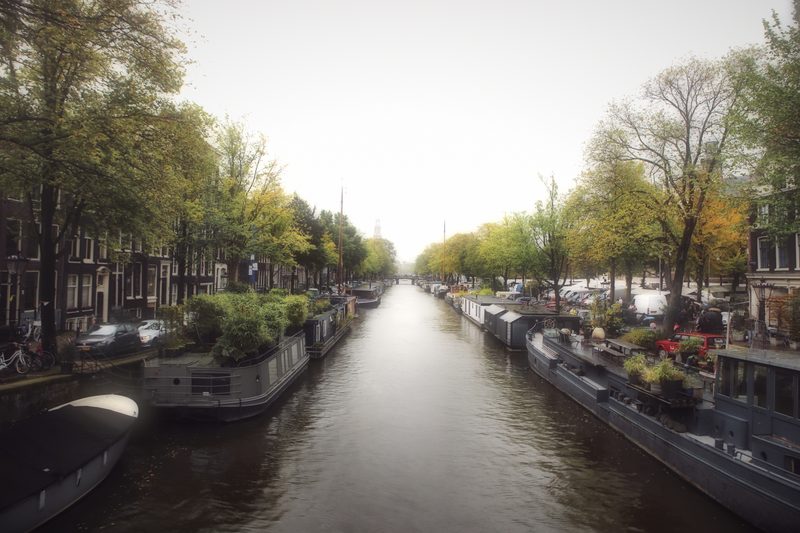 A straight canal stretching away between trees and houseboats.