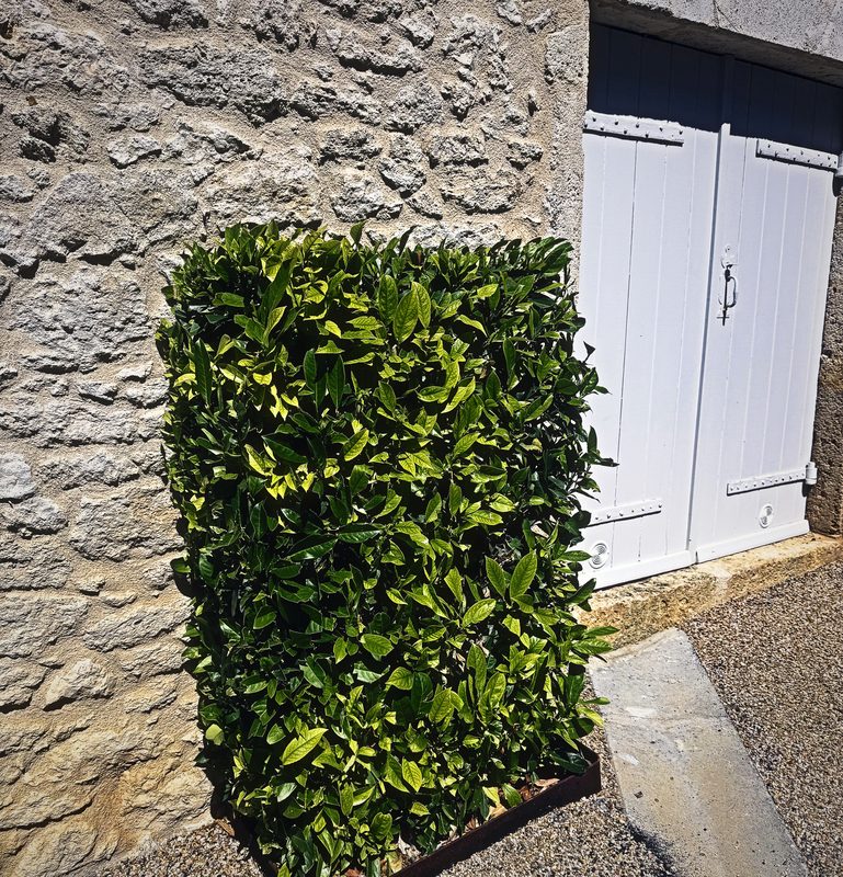 A clipped green hedge block against a rough stone wall beside pale wooden garage doors.