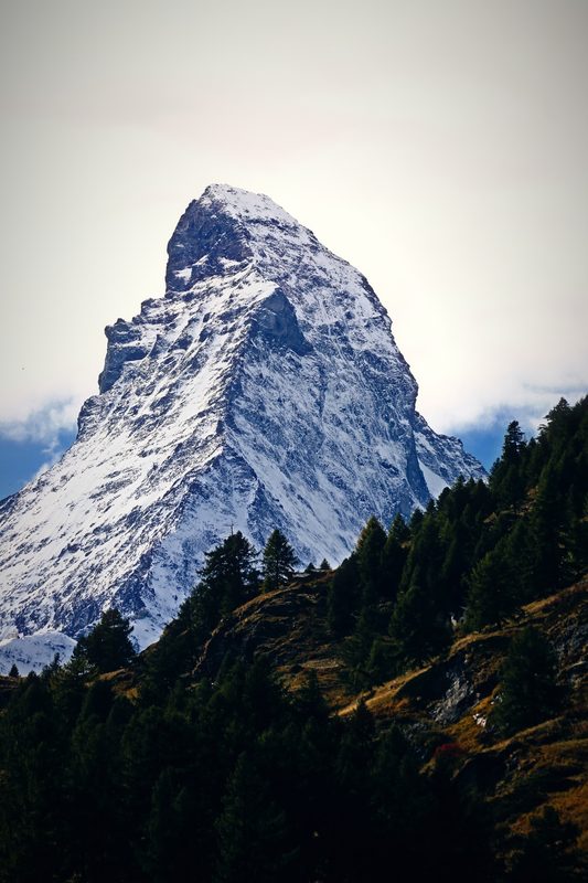 The Matterhorn's hooked summit above autumn larches under a pale sky.