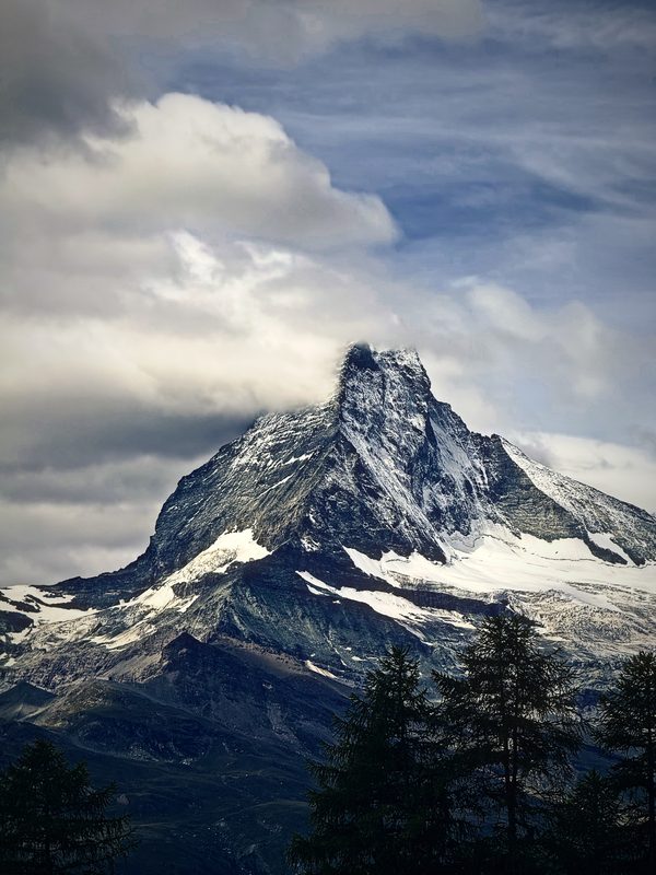 Snowy Matterhorn framed by dark fir tops and moving cloud.
