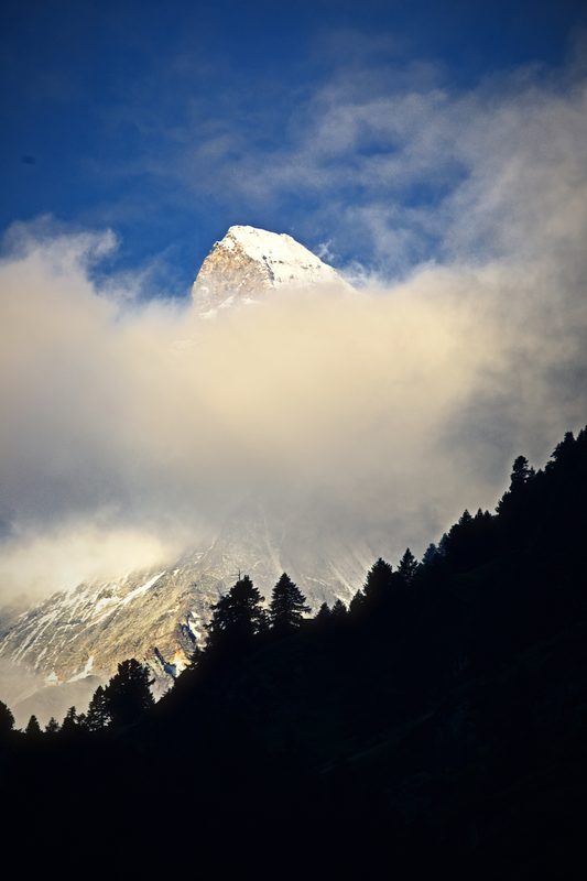 The Matterhorn's summit rising above a thick belt of white cloud over dark forest.