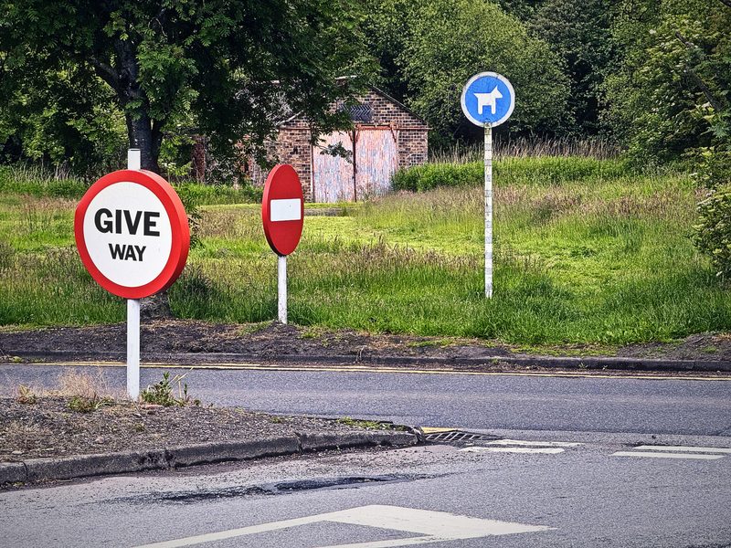 Round GIVE WAY sign, no-entry sign and blue dog sign by a Scottish road.