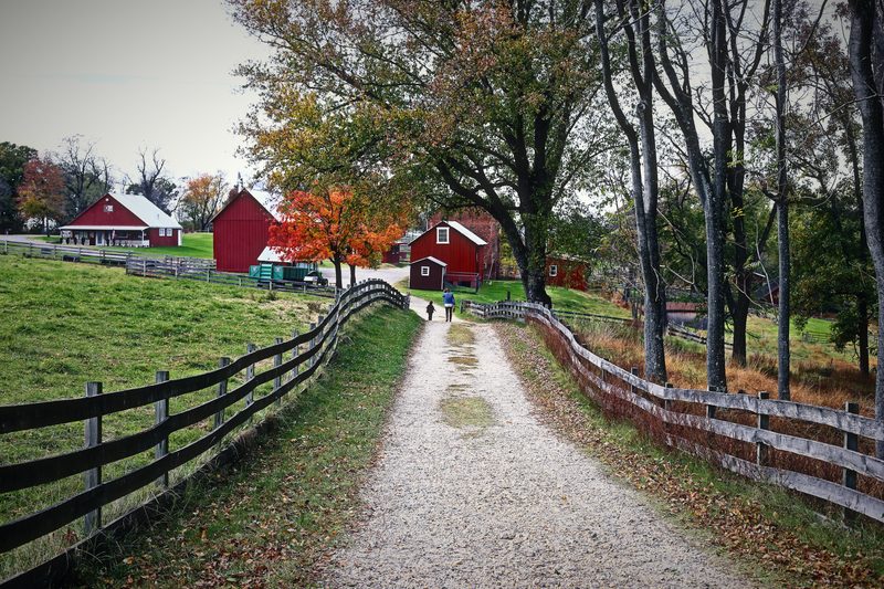 A gravel lane running between wooden fences toward distant red barns under autumn trees.