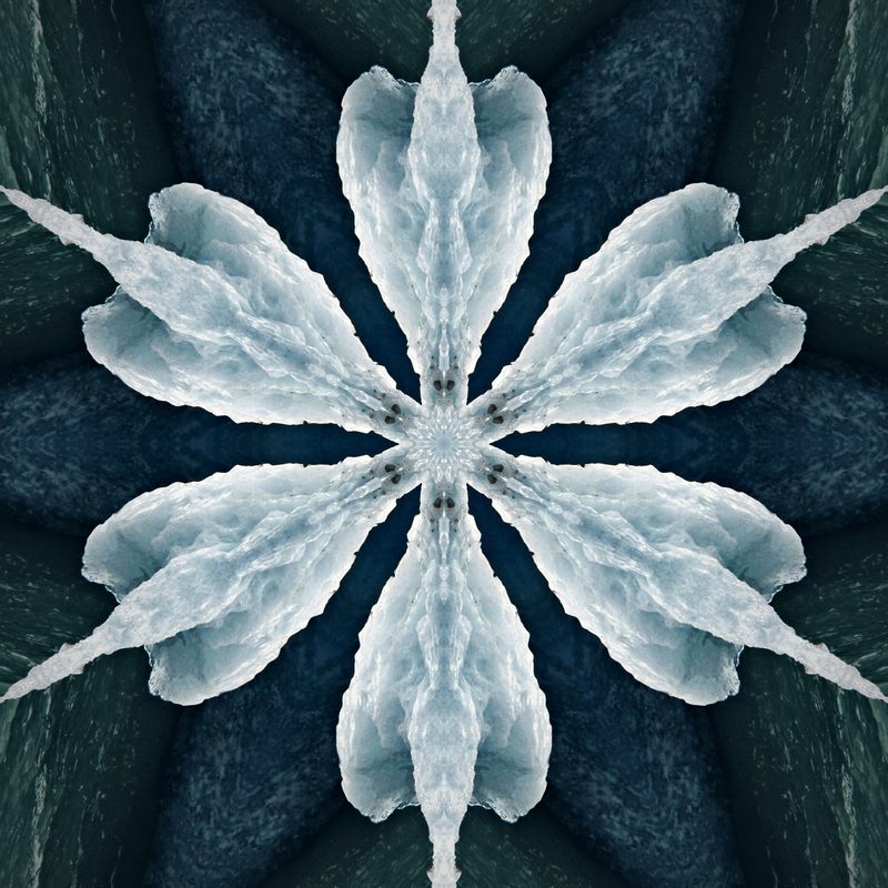 Silver-white kaleidoscope petals spreading like a lotus on dark slate.