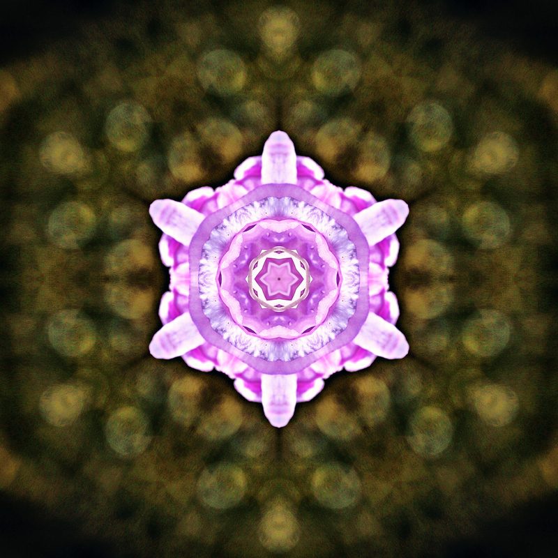 Violet star of petals at the center of a dark green and gold kaleidoscope.