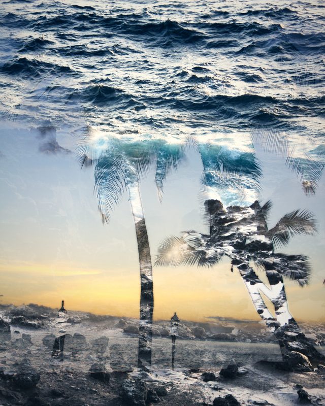 Palm tree silhouettes filled with ocean surf beneath a dark sea.