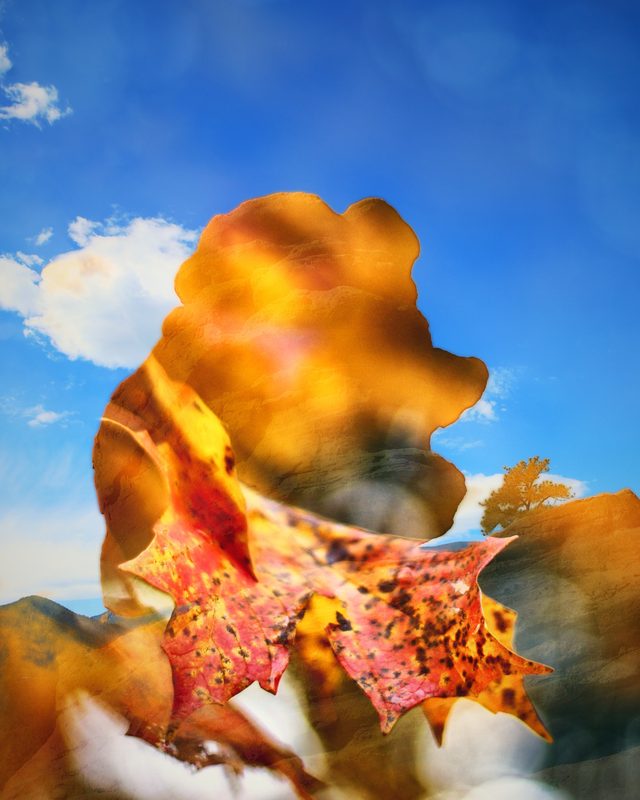 Balanced rock filled with a glowing red and orange autumn leaf against blue sky.