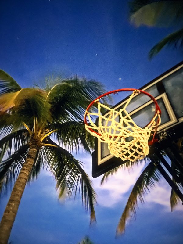Basketball hoop and leaning palm trees reaching into a blue evening sky.