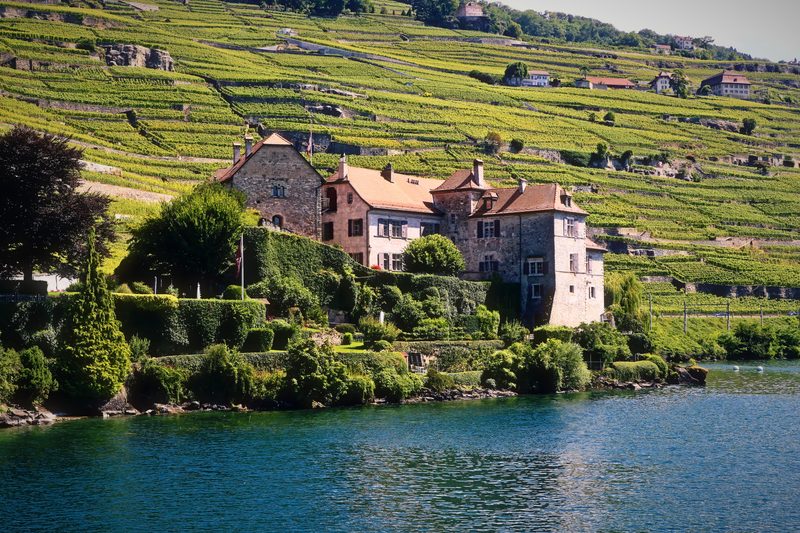 A pink manor house among bright vineyard terraces above calm blue-green water.