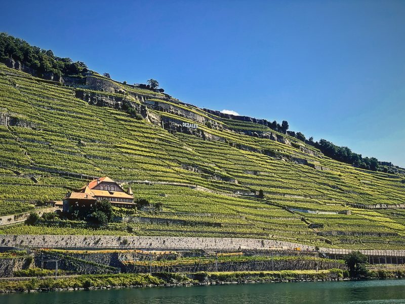 A small cottage on a steep slope of vineyard terraces under a deep blue sky.
