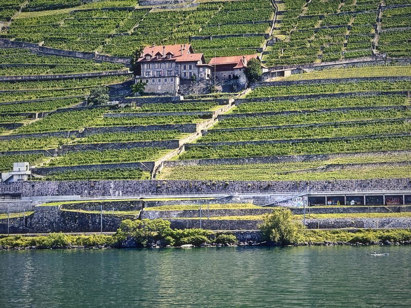 A red-roofed manor with stairs zigzagging down through bright vineyard terraces.