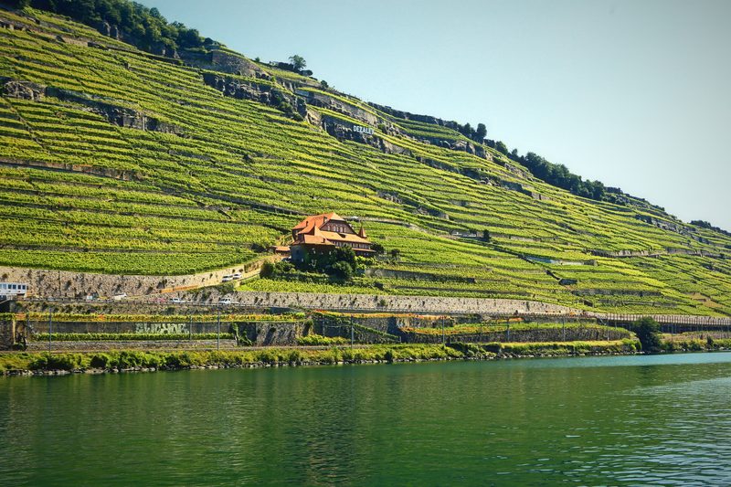A tiny red-roofed hut on a long slope of vines falling to a blue-green lake.