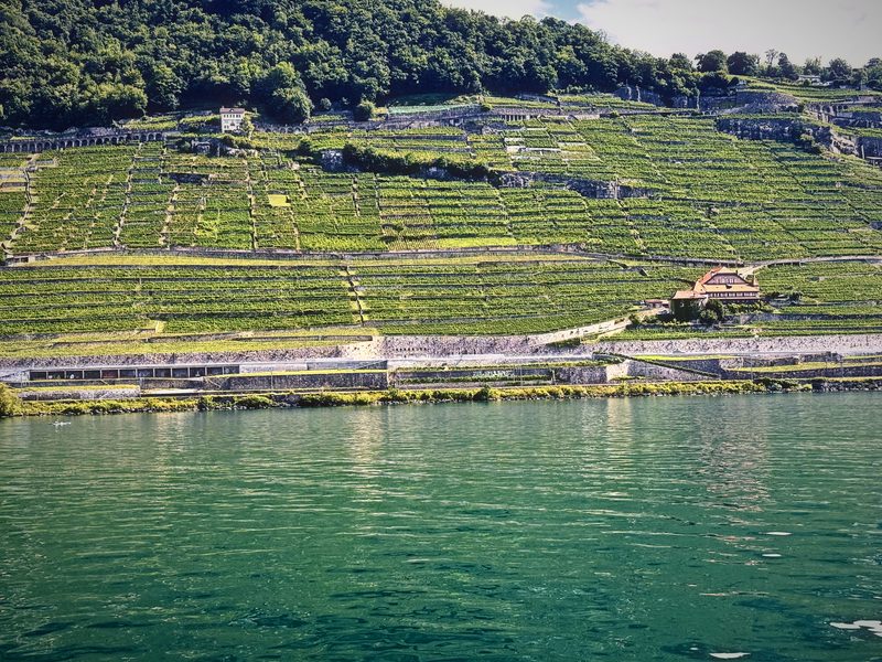 Turquoise lake water at the foot of terraced vineyards and a shoreline wall.