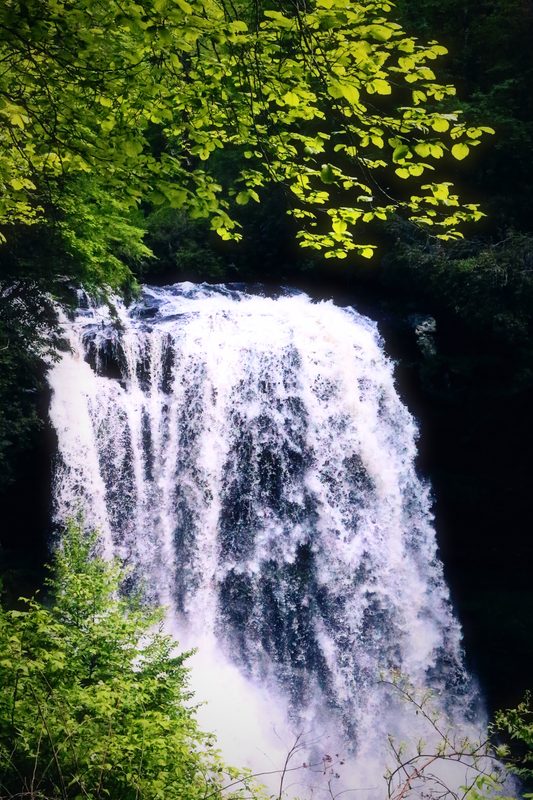 A wide waterfall pouring white under bright lime-green leaves.