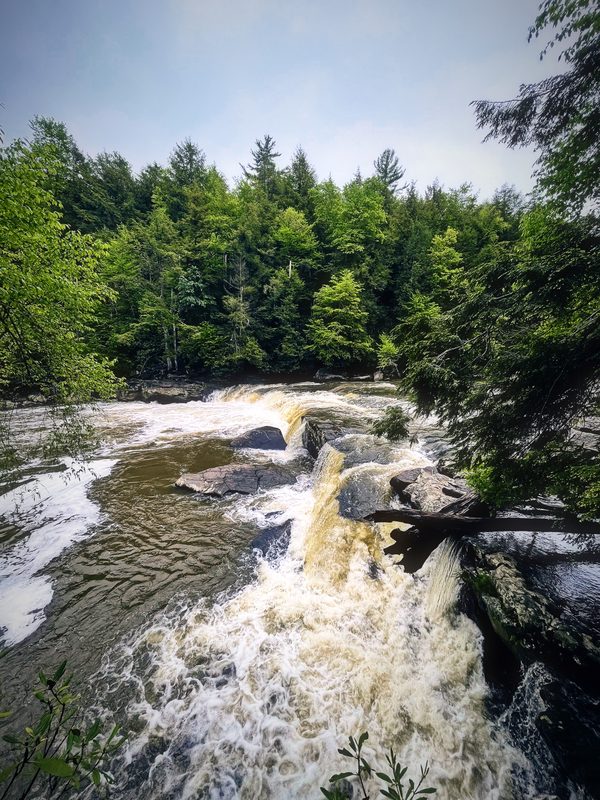 Tan and white rapids pouring over rock steps in front of a green forest wall.