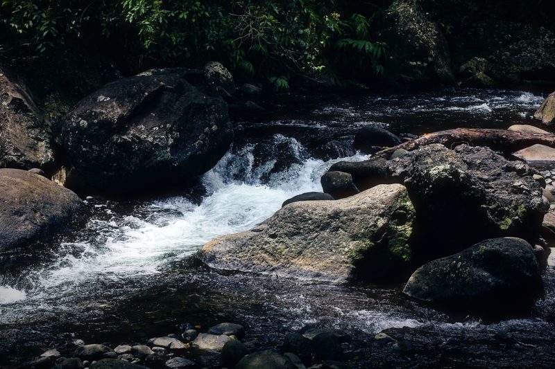 White water spilling through black boulders in a shaded streambed.