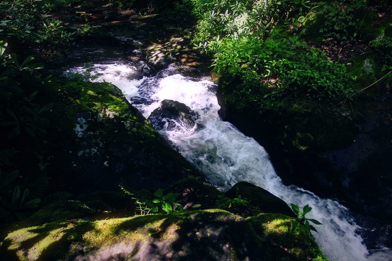 A white cascade rushing down a rocky gully through deep green moss and ferns.