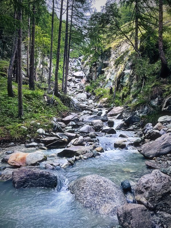 A clear blue-white creek flowing through grey boulders in a pine forest.