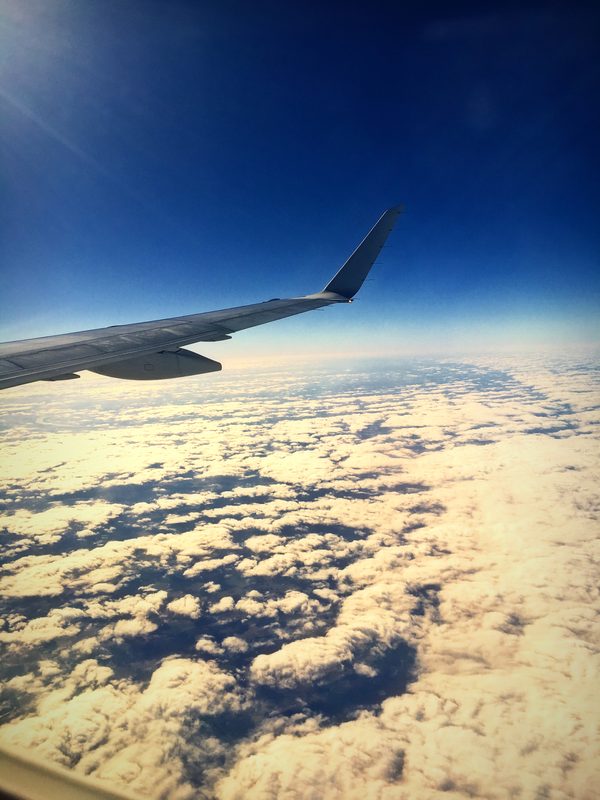 Airplane wing above a bright field of cloud under a deep blue sky.
