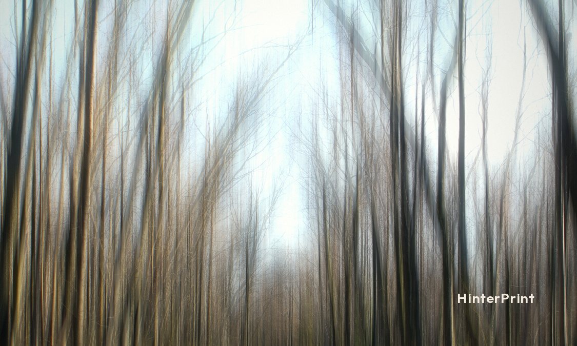 Front of the tag: tall bare trees blurred into soft vertical strokes, with a small HinterPrint mark.